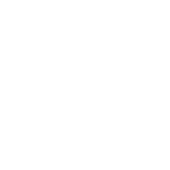 RENAULT REPUESTOS ORIGINALES Y ALTERNATIVOS EN ARGENTINA